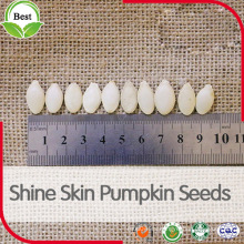 Raw Shine Piel y Nieve Blanca Semillas de calabaza